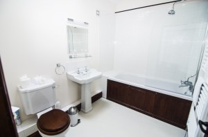 Kingfisher En-Suite Shower over Bath